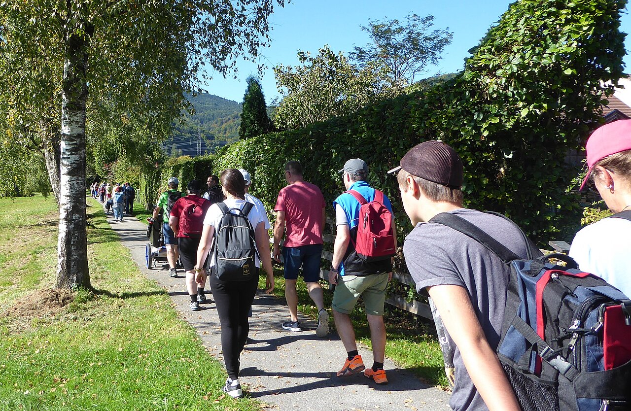 Viele Menschen wandern einen schönen Weg mit Bäumen und Hecke